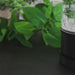 1.7L Glass Cordless Electric Programmable Water Kettle